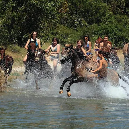 בית נופש Pet Friendly In *